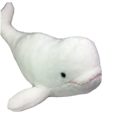 Beluga whale with o shaped mouth Library of Congress\" Poster for Sale by  VioletAndOberon | Redbubble