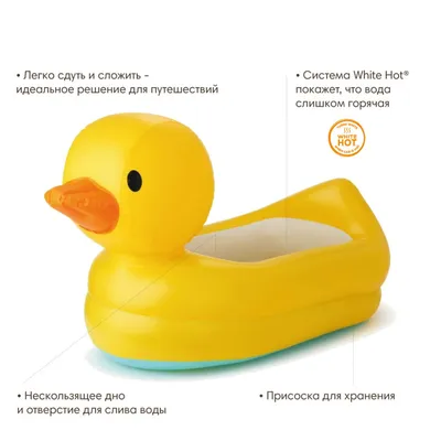 Белая утка на белом . стоковое фото ©Tsekhmister 106038578