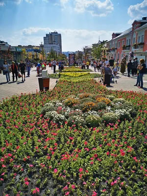 Белгород в цветах 11.09.21г | Пикабу
