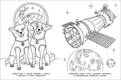 Собаки белка и стрелка в космосе …» — создано в Шедевруме