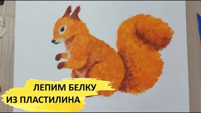 Белка. Аппликация из пластилина — купить на сайте izdflamingo.ru