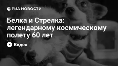 К 55-летию космического полёта Белки и Стрелки