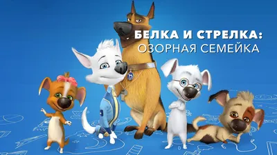 Белка и Стрелка: Лунные приключения, 2013 — смотреть мультфильм онлайн в  хорошем качестве — Кинопоиск