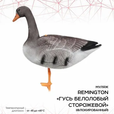 Duck Mania Белолобый гусь, комплект 6 штук + сумка