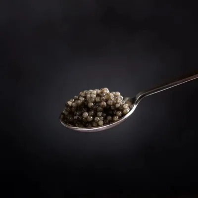 Икра | BELUGA Caviar Bar