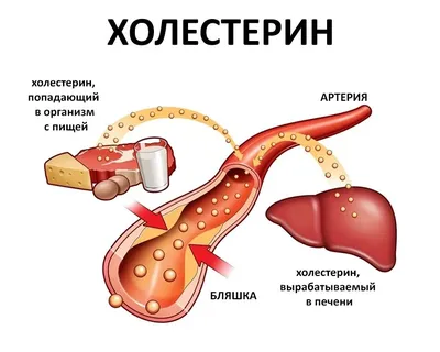 Хорошие консервы паштетом не назовут - Росконтроль