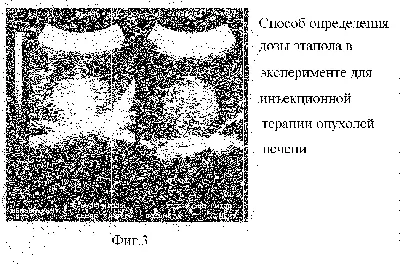 Худшие блюда мира – Всё о еде. АКИpress