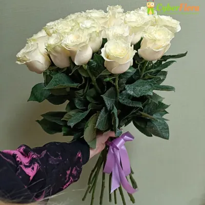 Элитные белые розы от 5 штук: цена, заказать с доставкой по Карталы в  интернет-магазине Cyber Flora®