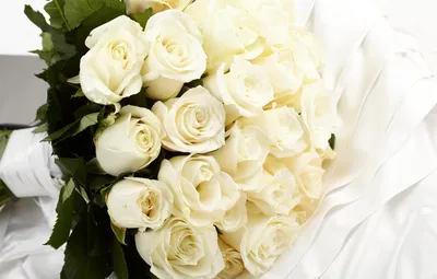 Обои букет, white, белые розы, flowers, roses картинки на рабочий стол,  раздел цветы - скачать