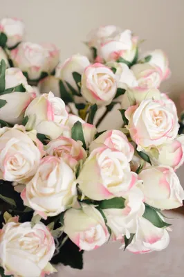 Фото Нежные белые розы
