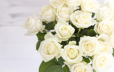 Обои букет, бутоны, Белые розы картинки на рабочий стол, раздел цветы -  скачать