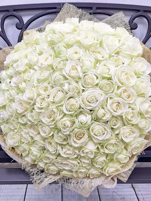Белые розы классика 101 шт. купить от 12120 рублей в интернет-магазине