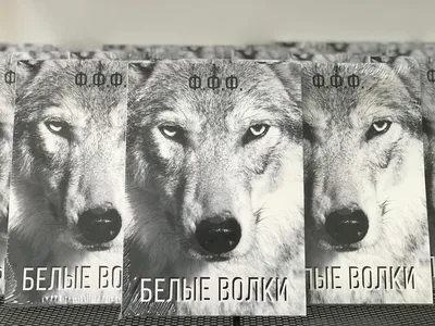 Белые волки. Книга 1, Вергилия Коулл – скачать книгу fb2, epub, pdf на  ЛитРес