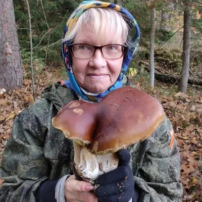 Калининградка нашла в лесу огромный белый гриб весом 600 граммов - KP.RU