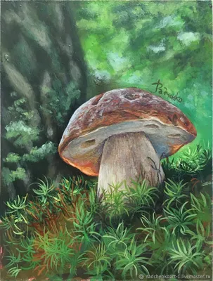 Картина маслом Белый гриб пейзаж – купить онлайн на Ярмарке Мастеров –  R9OUMRU | Картины, Воронеж