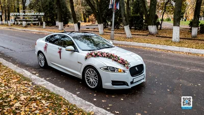 Аренда автомобиля Jaguar XF (Белый Ягуар) с водителем на свадьбу в Москве