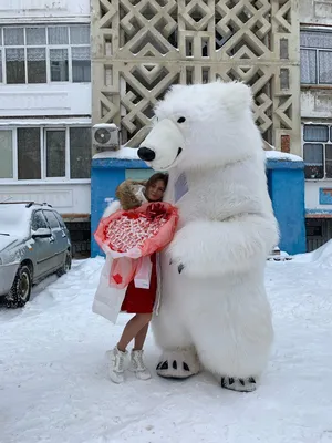 Фотообои Белый медведь чёрно-белый артикул Anm-170 купить в Оренбург|;|9 |  интернет-магазин ArtFresco