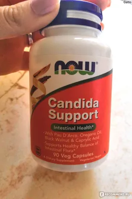 БАД Now Foods Candida Support - «Помог избавиться от белого налета на языке  и восстановил микрофлору. Расскажу как правильно принимать, чтобы был  макисмальный эффект! » | отзывы