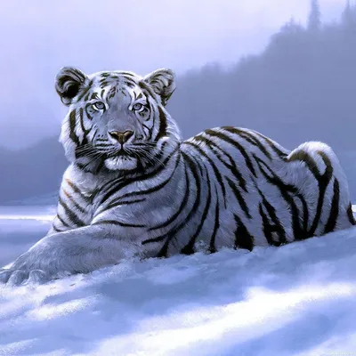 Белый тигр лежит на снегу с вытянутыми вперед лапами — Картинки и аватары