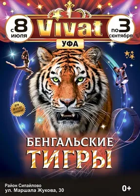 Бенгальский тигр