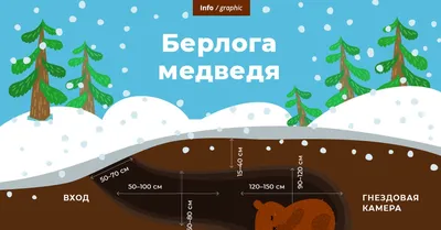 Виталий Капотов* Берлога медведя в …» — создано в Шедевруме