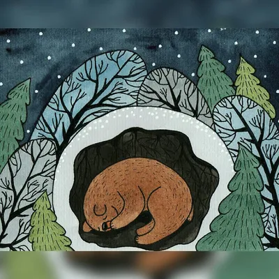 Картинки берлога медведя весной (68 фото) » Картинки и статусы про  окружающий мир вокруг
