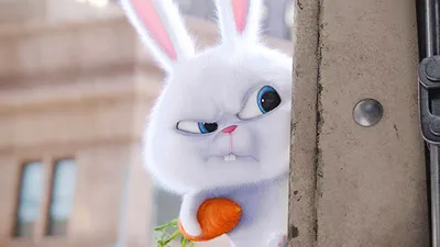 наклейка \"Злой Кролик (заяц) новогодний\", 150х150 мм, вид 5, Арт рэйсинг  купить по выгодной цене в интернет-магазине OZON (736364152)