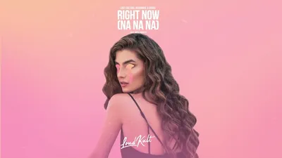 Lost Culturé, Besomage \u0026 VADDS - Right Now (Na Na Na) (feat. Royce Nightly)  (Official Audio) - YouTube