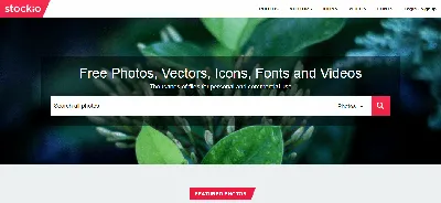 Stockio: бесплатный сток графики в разных форматах | TEXEX┃ПОЛНЫЙ СПЕКТР  IT-УСЛУГ ДЛЯ БИЗНЕСА