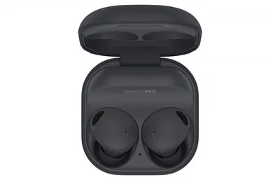 Наушники Samsung Galaxy Buds2 Black купить в магазине Dr.Head, Самсунг  Galaxy Buds 2 в Москве