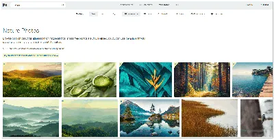 10 сайтов с бесплатными картинками и фото (без авторских прав)