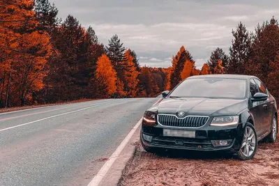 Skoda Octavia с пробегом под 200 тыс. км. Какие доработки и проблемы -  Газета.Ru