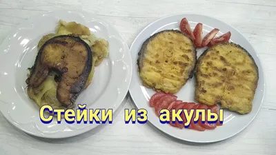 Маринованная Рыба Акулы Младенца — стоковые фотографии и другие картинки  Акула - Акула, Без людей, Вертикальный - iStock