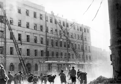 Опубликованы эксклюзивные снимки блокадного Ленинграда | Победа РФ
