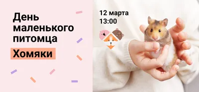 Little One Бисквиты с морковью для хомяков,крыс,мышей и песчанок, коробка  5*7г | Интернет магазин ГиперЗоо