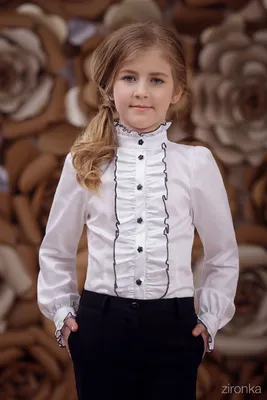 Классическая белая блузка с жабо и брошью - 3322 - цена, фото, описания,  отзывы покупателей | Krasota-ua.com