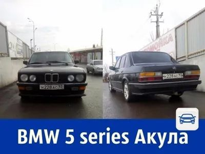 Одна из самых красивых BMW Акула 🦈 🦈 🦈 E24 Alpina #124 #w124 #w124e500  #w124500e #w124036 #w124brabus #w124e500brabus… | Instagram