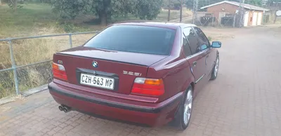 BMW 5 series (E39) 2.5 бензиновый 1997 | 523i Матовый дельфин на DRIVE2