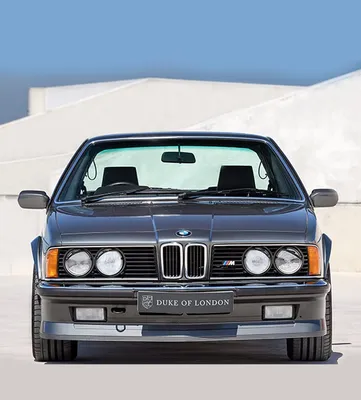 Penning A Love Letter To A BMW E24 6-Series, The 'Great White Shark' •  Petrolicious