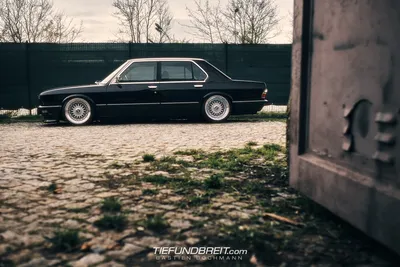 Dramatic shark theme intensifies: the... - BMW Group Classic | Facebook