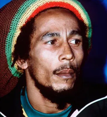 Боб Марли растафари Лев для любителей регги вязаная шапка женские мужские  шапочки шапка раста растафариан ямайский хип-хоп шапка | AliExpress