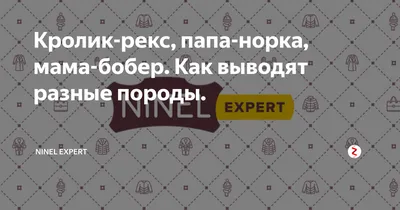 Шуба бобрик( кролик рекс) 48-50 – купить в Москве, цена 10 700 руб.,  продано 1 декабря 2018 – Верхняя одежда