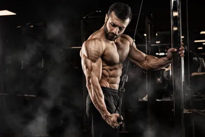 Sports Bodybuilding HD Wallpaper