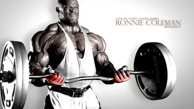Arnold Schwarzenegger Bodybuilding Poster HD Print Muscle Workout Art  Painting | eBay