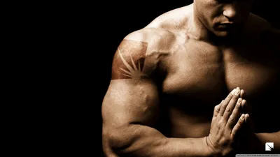 100+] Bodybuilders Hd Wallpapers | Wallpapers.com