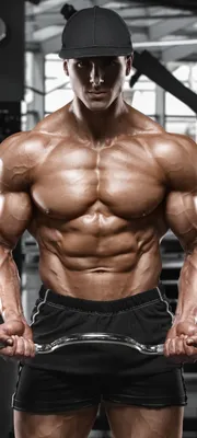 Bodybuilding Blitz: Maximum Gains in Minimum Time – StrengthLog