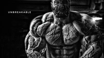 100+] Bodybuilding Pictures | Wallpapers.com