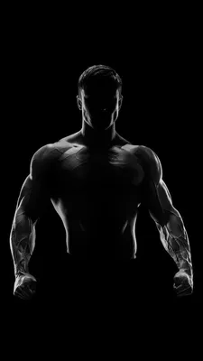 100+] Bodybuilding Pictures | Wallpapers.com