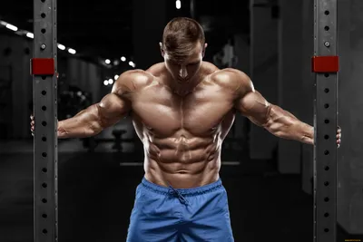 Обои Спорт Body Building, обои для рабочего стола, фотографии спорт, body  building, бодибилдинг, мужчины, рельеф, пресс, мышцы Обои для рабочего  стола, скачать обои картинки заставки на рабочий стол.