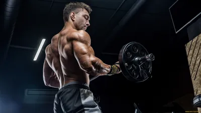 Обои Спорт Body Building, обои для рабочего стола, фотографии спорт, body  building, bodybuilding, мужчина, спортсмен Обои для рабочего стола, скачать  обои картинки заставки на рабочий стол.